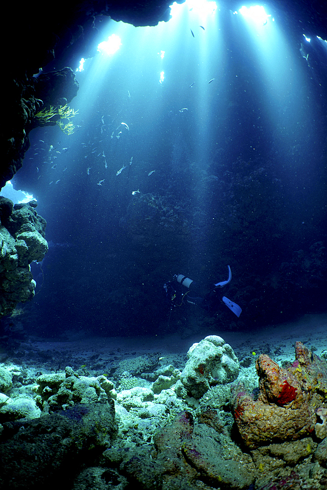 Diver swimming in cave, underwater, light rays, sun rays, Shaab Claudia reef dive site, Red Sea, Egypt, Africa