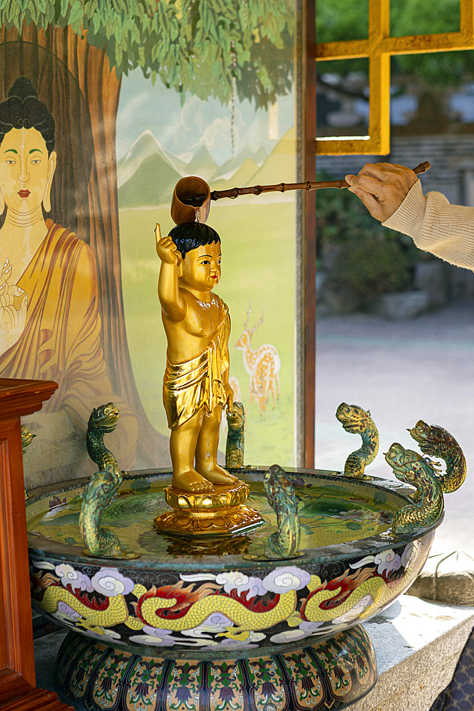 Person pours water over a small golden Buddha figure for prosperity and happiness, Haedong Yonggungsa Temple, Busan, Gyeongsangnam-do Province