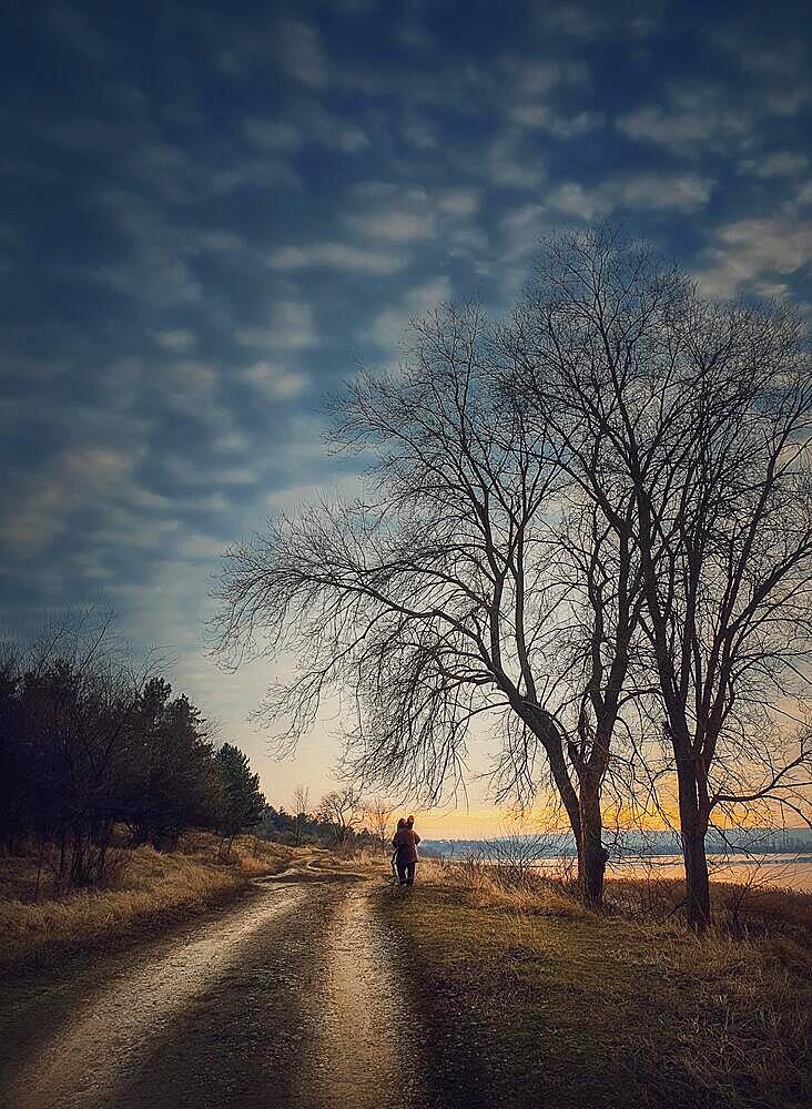 Lonely nomad person walking a country road. Moody and calm evening scene. Wanderer silhouette on trail. Cold season idyllic rural landscape with leafless trees and dry grass