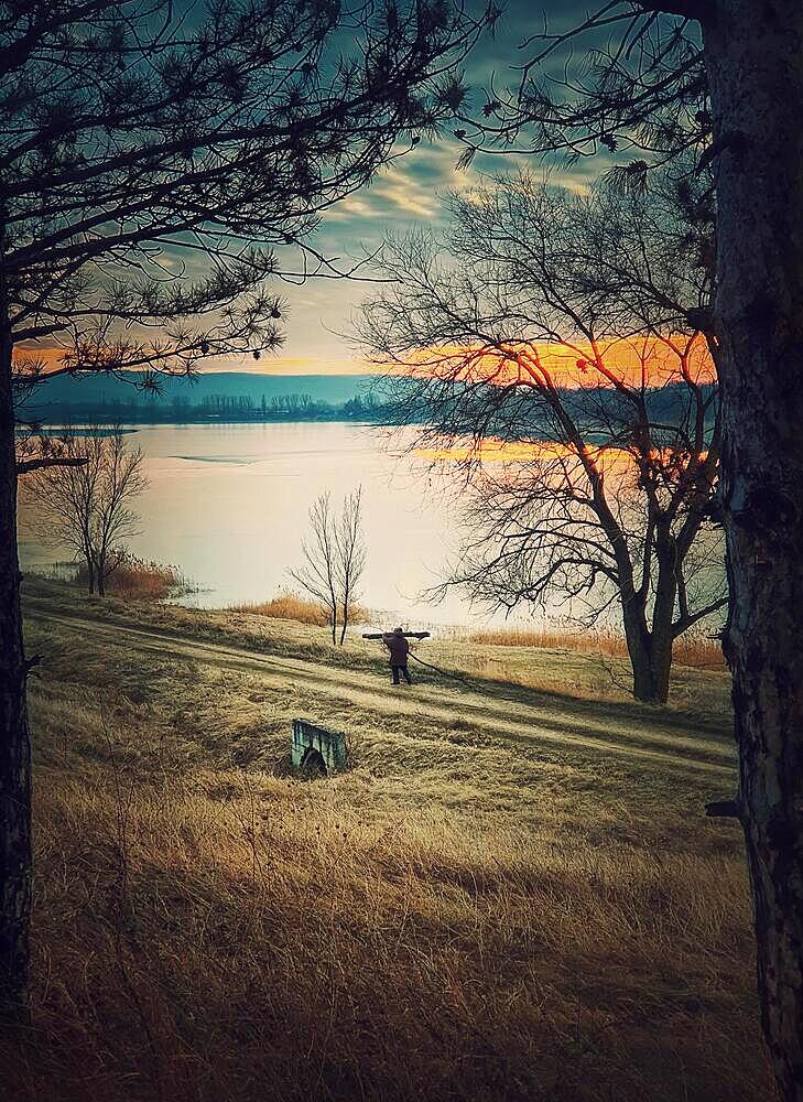 Person walking a country road carrying dry firewood. Peaceful sunset scene and wanderer silhouette on trail. Idyllic rural landscape near lake and forest