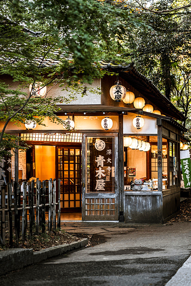 Front view japanese structure with lanterns nature