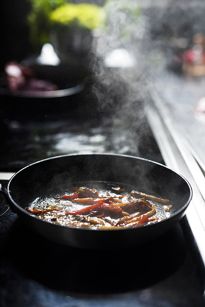 Pan with fried vegetables stove