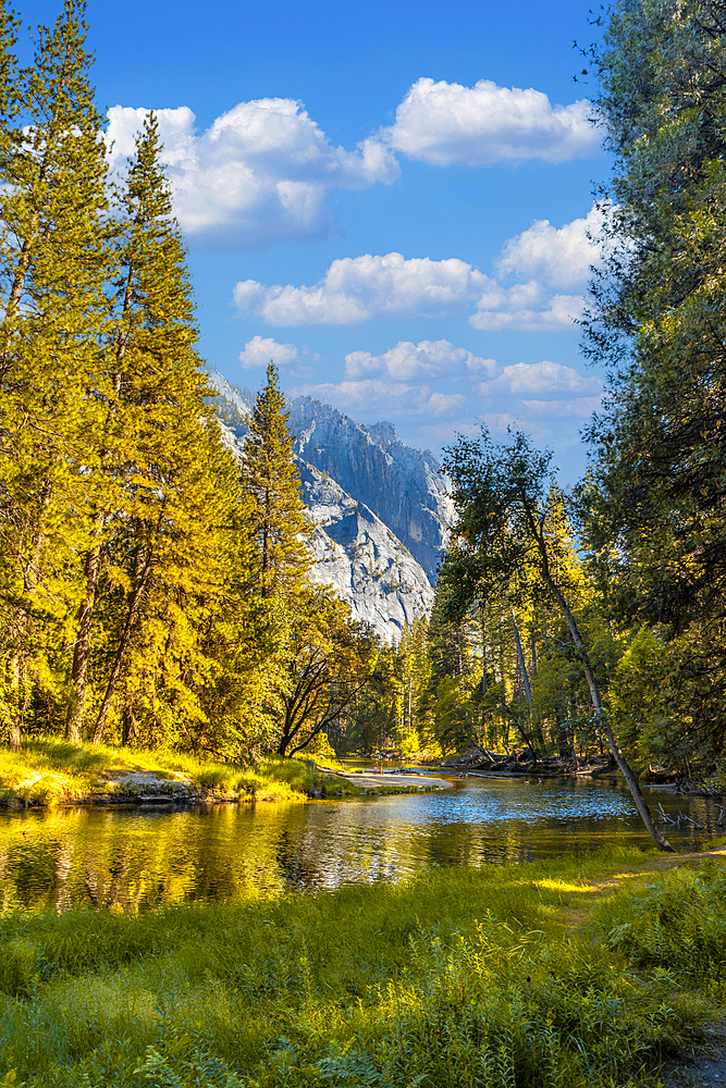 Lovely walk to walk in Yosemite valley. California, United States, North America