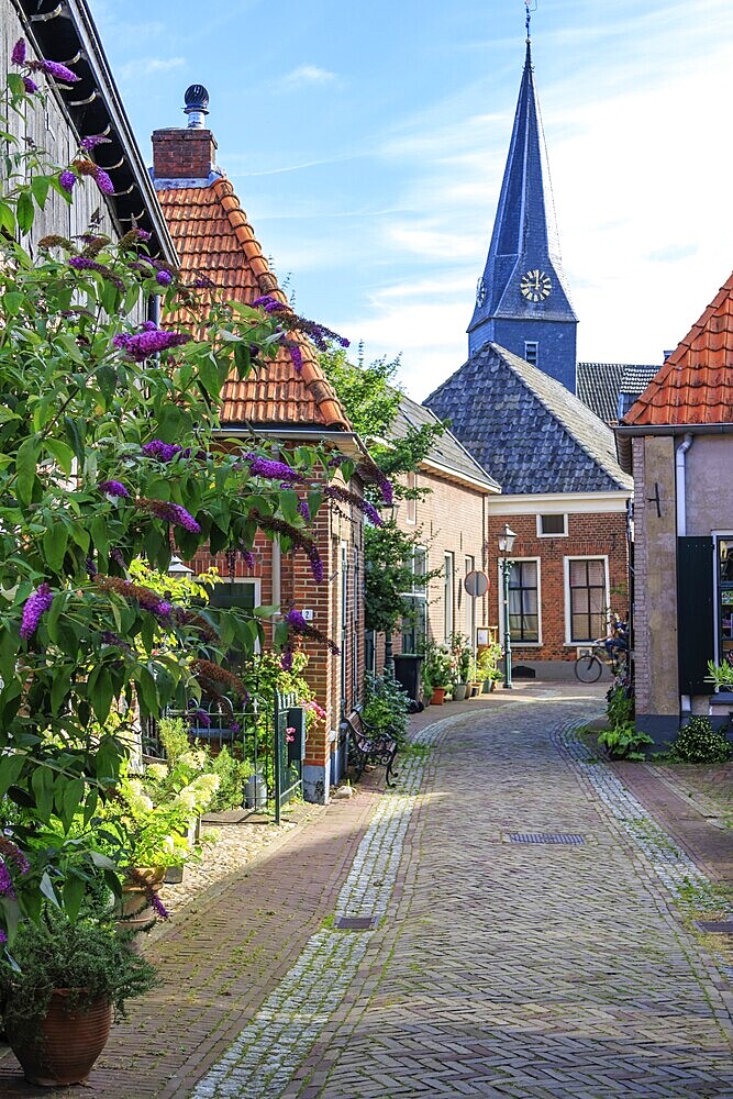 Narrow, cobbled alley with a view of a church tower, traditional houses and numerous plants along the alleyway, bredevoort, gelderland, the netherlands