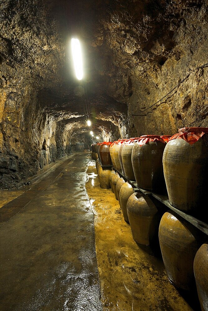 Alcohol filled jars line the long corridor of Tunnel 88, a former military shelter now used to store locally produced wines and alcohols