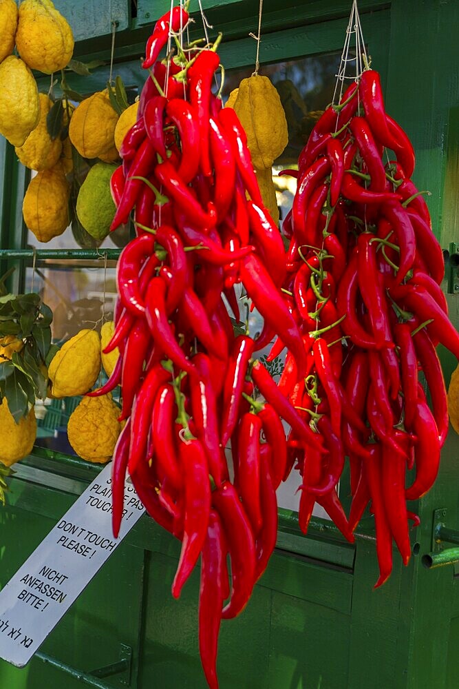 Stall with chilli peppers and lemon citrus (Citrus medica), Cedrat, Lake Garda, Sirmione, Province of Brescia, Lombardy, Italy, Europe