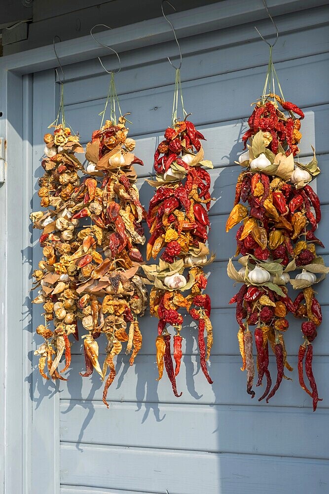 Threaded dried chilli peppers, garlic, bay leaves, market sale, Croatia, Europe