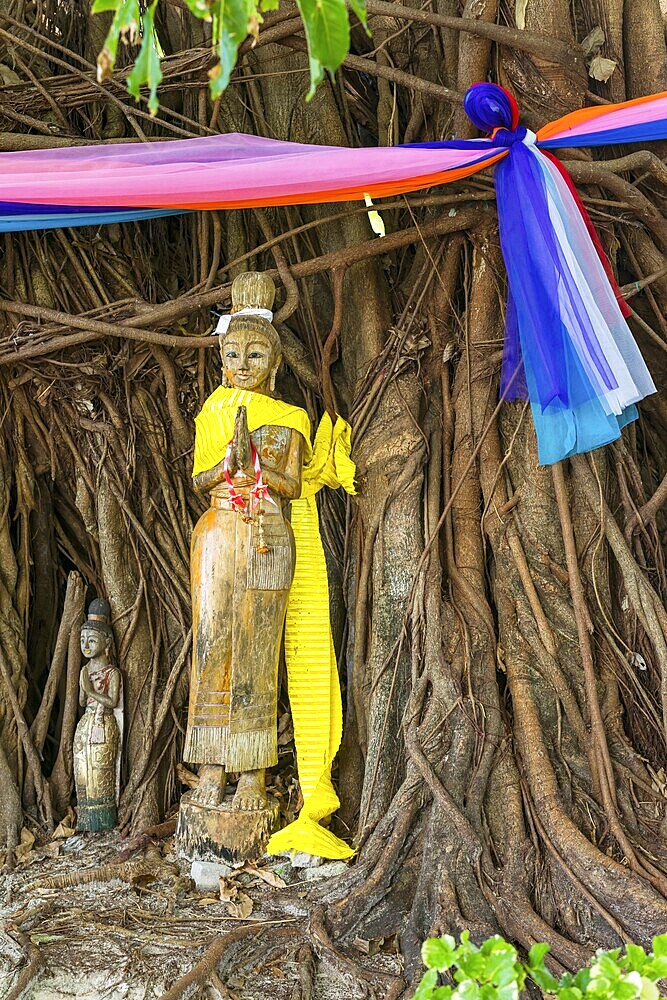 Buddhist figure in front of a tree on Phi Phi Island, wood, carving, wooden figure, Buddhism, faith, praying, praying, sculpture, statue, religion, world religion, icon, female, sculpture, respect, Siam, Asian, history, culture, cultural history, figure, temple, temple figure, idolise, tree, Thailand, Asia