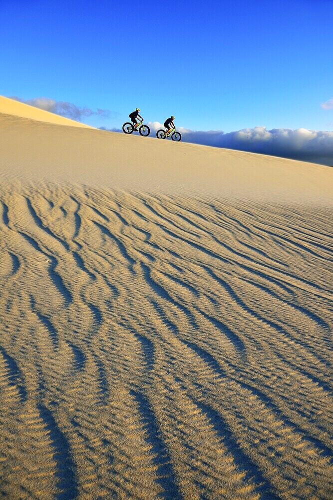 Cycling tour with fatbikes at Die Plaat Beach, Nature Reserve, De Kelders, Gansbaai, Western Cape, South Africa, Africa