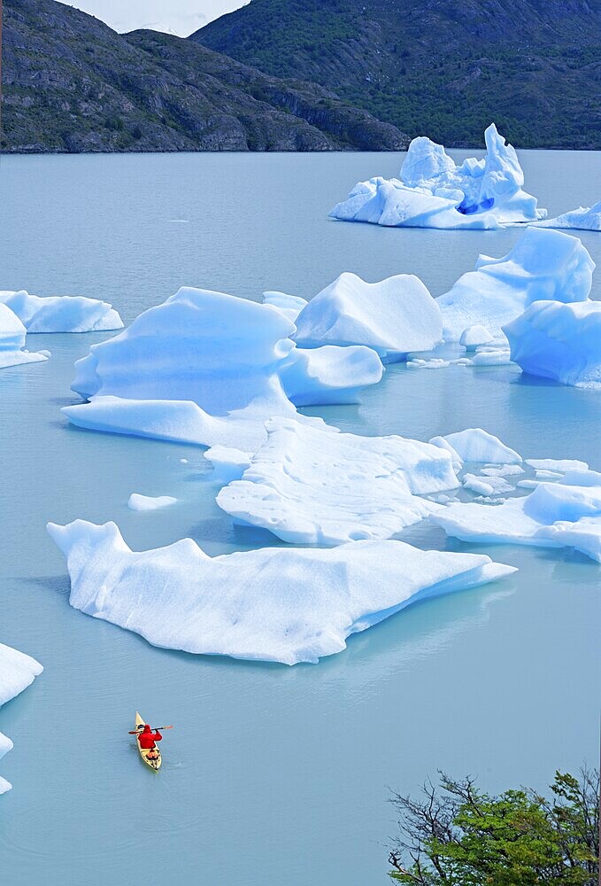 Kayaker on lake, icebergs, Lago Grey, Torres del Paine National Park, Patagonian Andes, Patagonia, Chile, South America