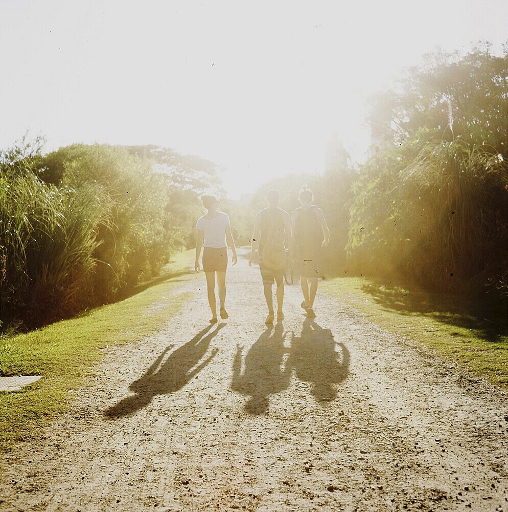 Argentina Friends Summer Walk Backlight, Buenos Aires, Park, Reserva Ecológica de Buenos Aires
