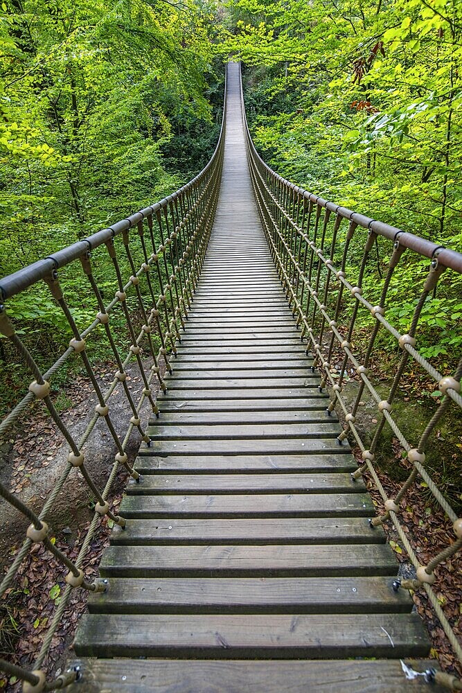 Wooden suspension bridge over a gorge, beautiful nature and trees in the German forest