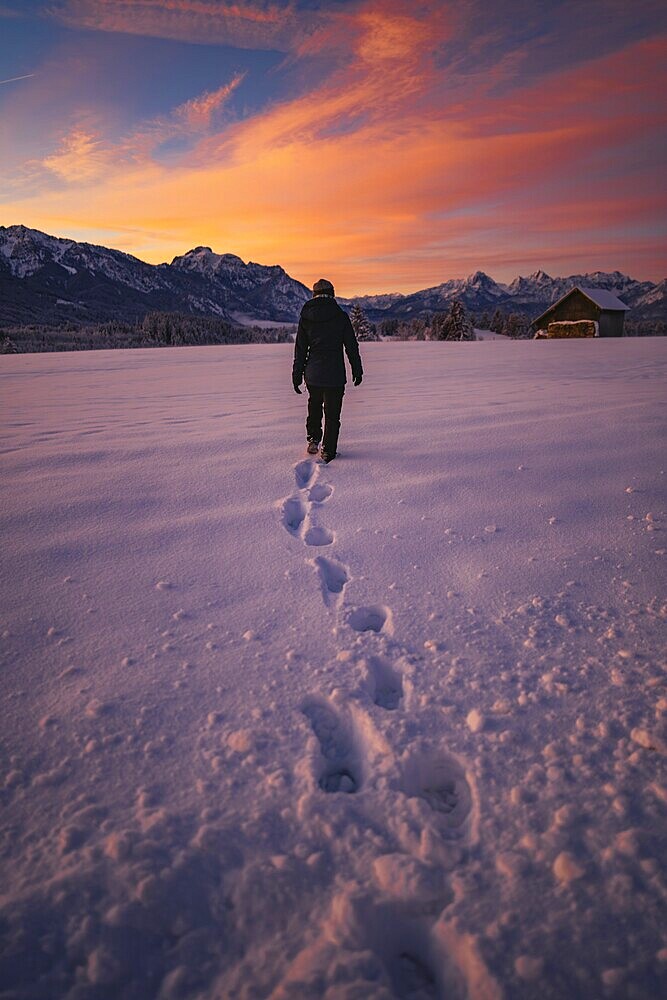 Winter landscape in the Allgäu near Halblech at sunrise