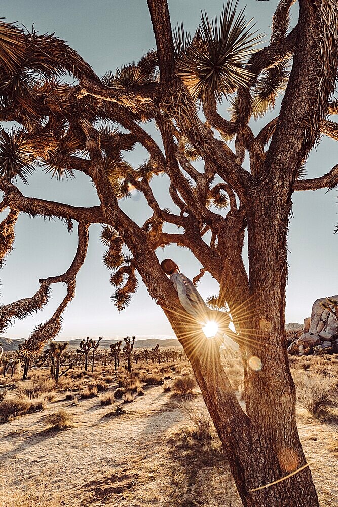Woman at sunset in Joshua Tree National Park
