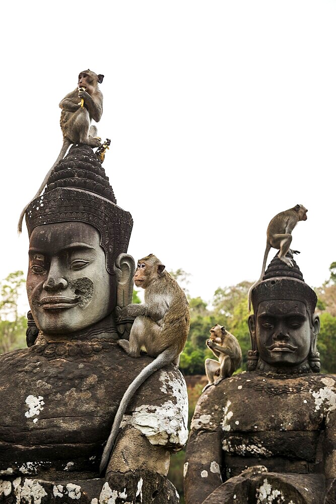 Figures and monkeys on the bridge to Angkor Thom, macaques, sunset, Angkor Wat, Angkor, UNESCO World Heritage Site, Siem Reap, Cambodia, Indochina, Southeast Asia