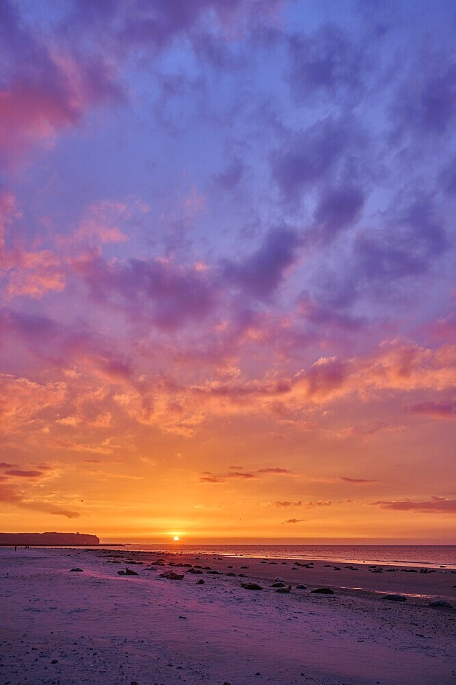 Colorful sunset on the beach with Grey seal (Halichoerus grypus) lying lying on it, Düne, Helgoland, Schleswig-Holstein, Germany