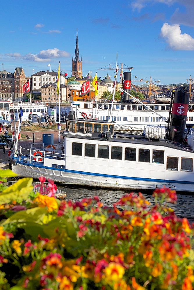 City skyline and flowers, Stockholm, Sweden, Scandinavia, Europe