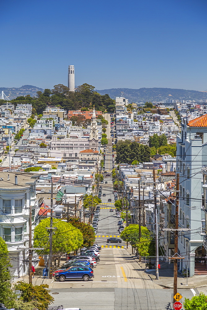 View of Coit Tower from Russian Hill, San Francisco, California, United States of America, North America