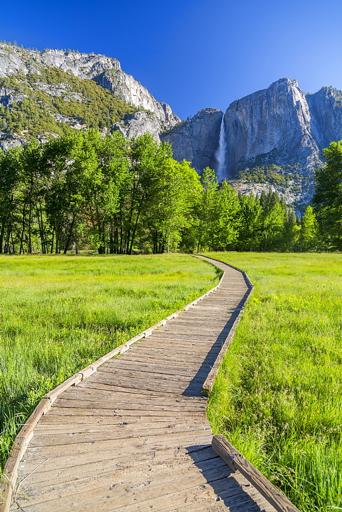 View of Cooks Meadow and Upper Yosemite Falls, Yosemite National Park, UNESCO World Heritage Site, California, United States of America, North America