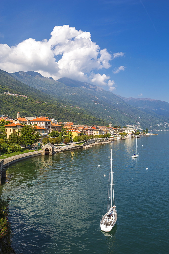 Elevated view of Cannobio and Lake Maggiore, Lake Maggiore, Piedmont, Italian Lakes, Italy, Europe