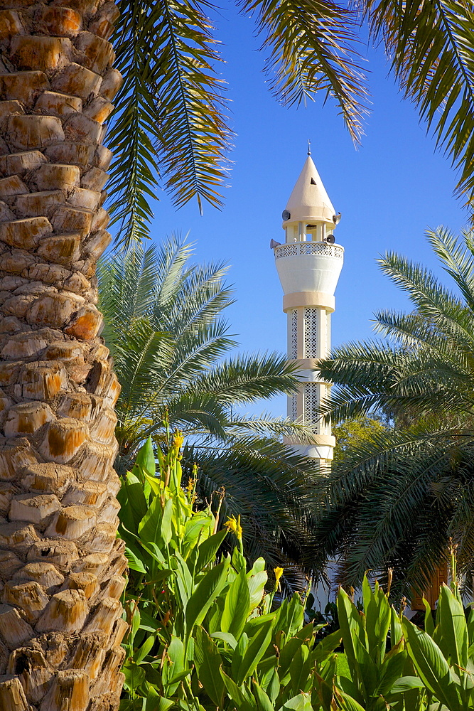 Mosque, Al Ain, Abu Dhabi, United Arab Emirates, Middle East