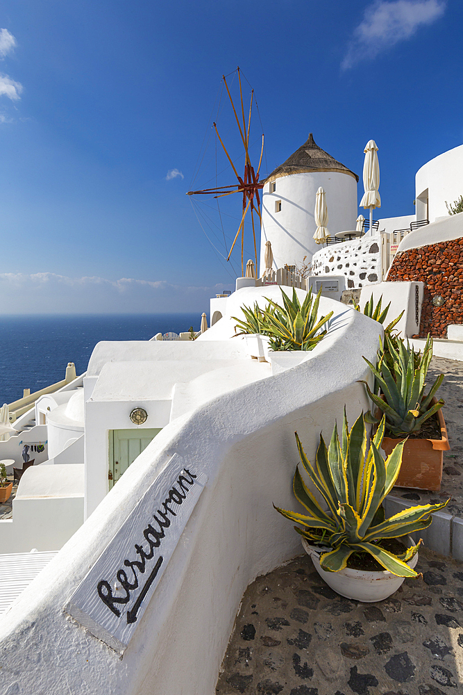 View of windmill overlooking Oia village, Santorini, Cyclades, Aegean Islands, Greek Islands, Greece, Europe
