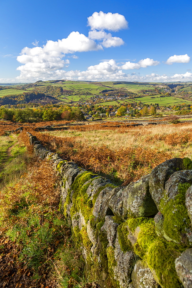 Stone wall through field by Calver in Peak District National Park, England, Europe