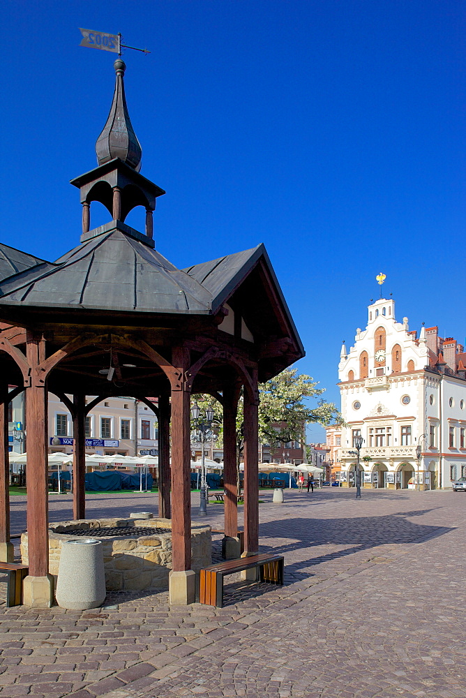 City Hall and well, Market Square, Old Town, Rzeszow, Poland, Europe