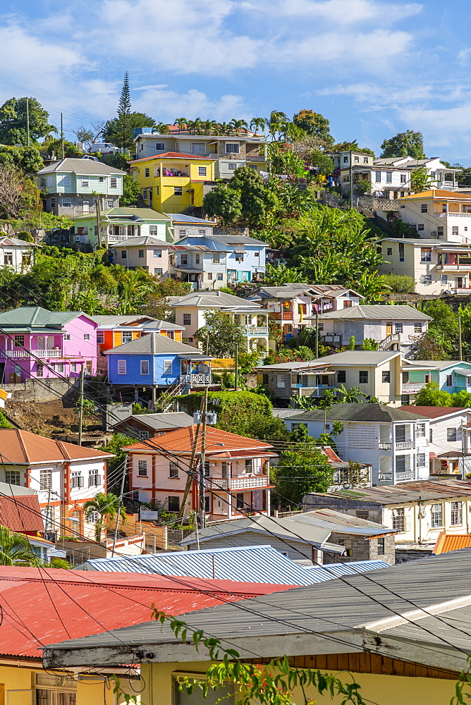 View of colourful houses that overlook the Carnarge of St. George's, Grenada, Windward Islands, West Indies, Caribbean, Central America