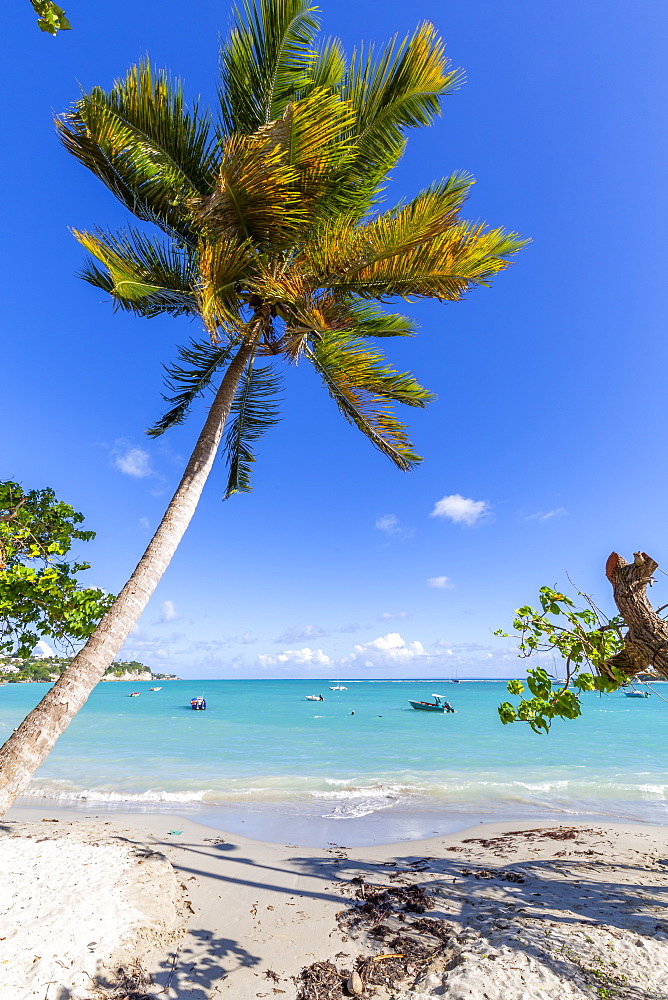 La Datcha Beach, Pointe-a-Pitre, Guadeloupe, French Antilles, West Indies, Caribbean, Central America