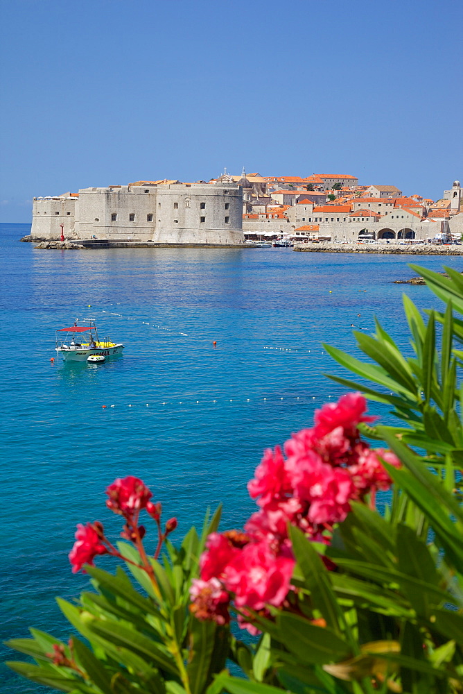 View of Old Town, UNESCO World Heritage Site, Dubrovnik, Dalmatia, Croatia, Europe