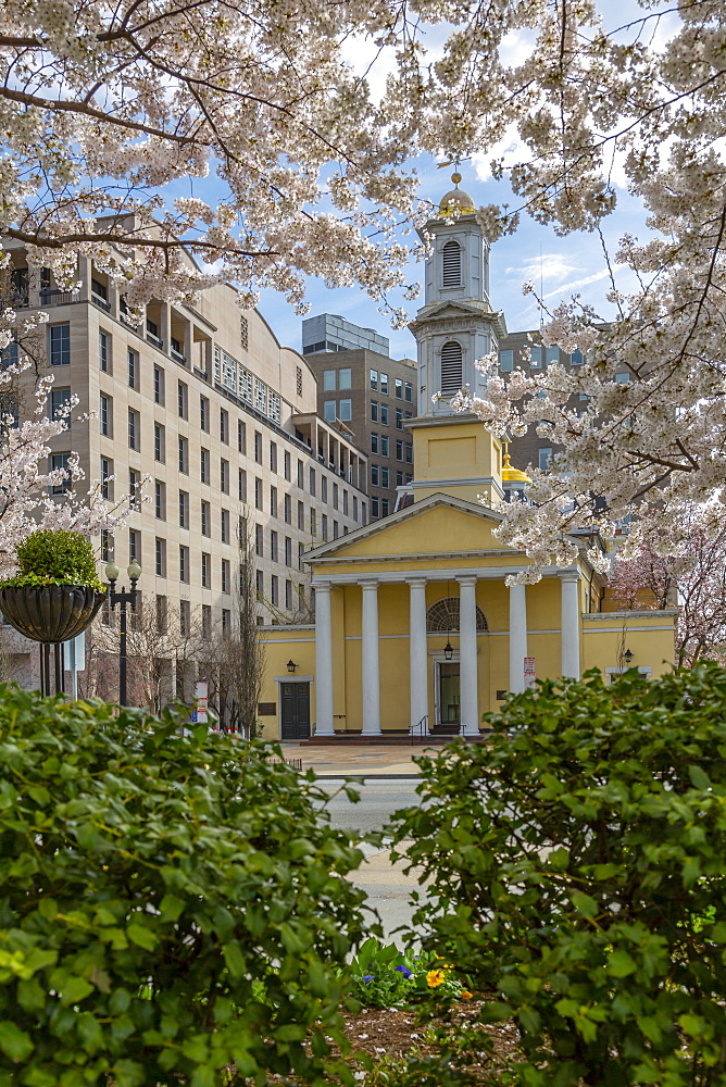 View of the St. John's Episcopal Church and spring blossom, Washington D.C., United States of America, North America