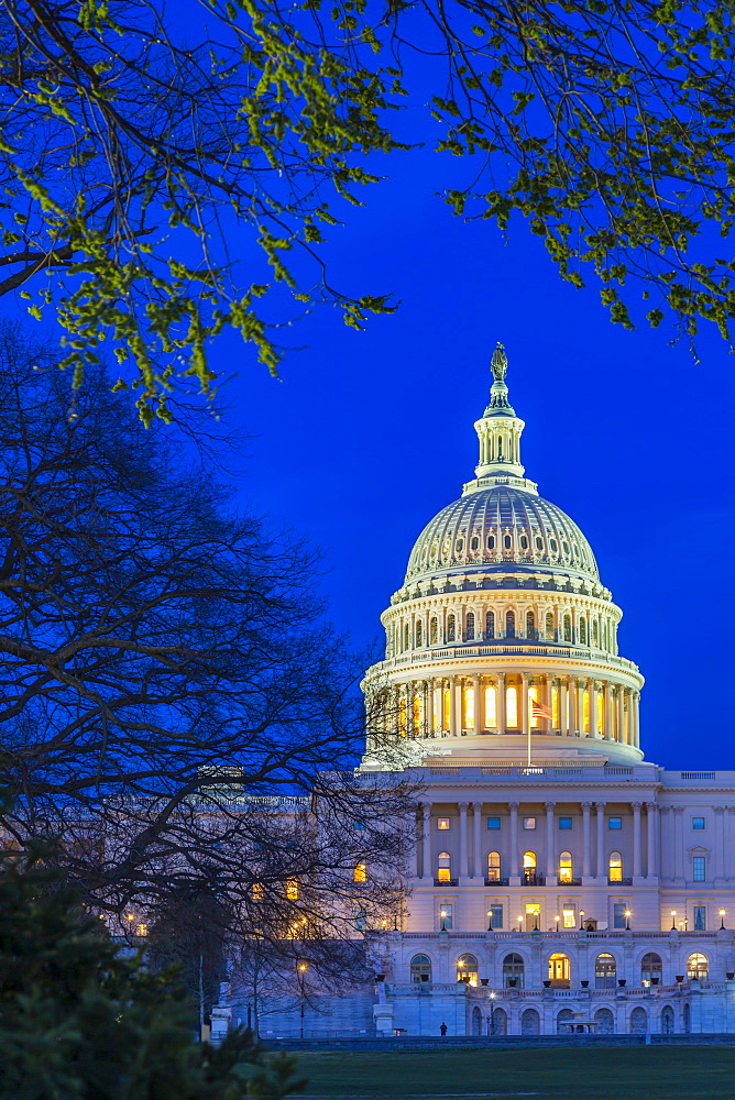 View of the United States Capitol Building at dusk, Washington D.C., United States of America, North America