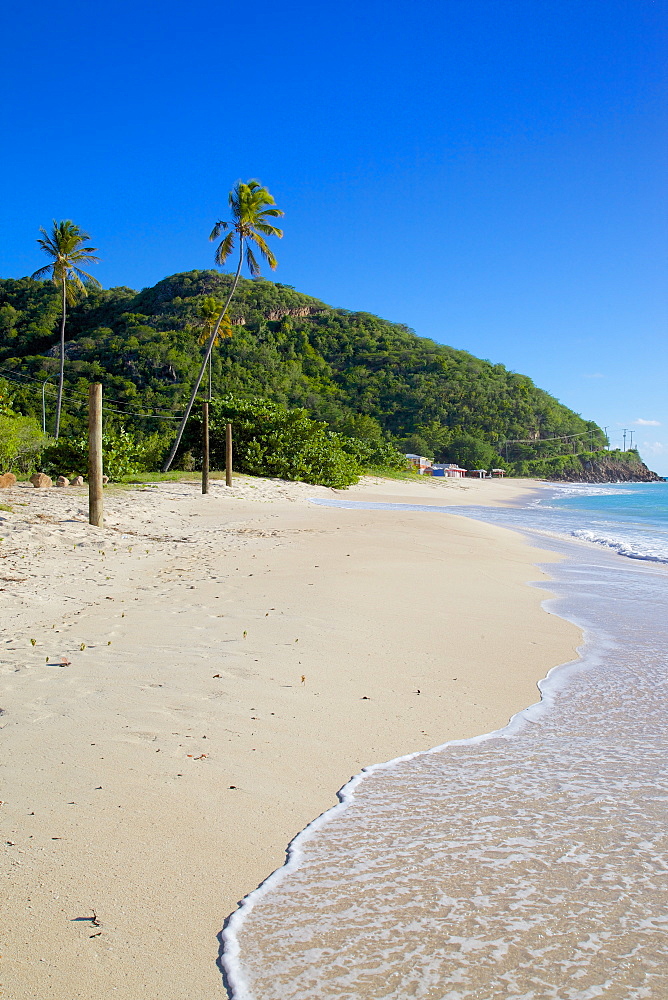 Darkwood Beach, St. Johns, Antigua, Leeward Islands, West Indies, Caribbean, Central America 