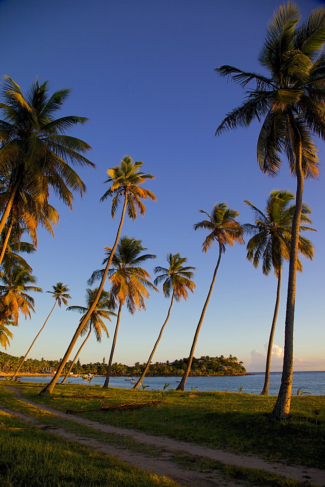 Beach at sunset, Morris Bay, St. Mary, Antigua, Leeward Islands, West Indies, Caribbean, Central America 