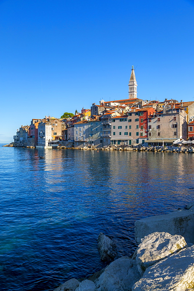 View of harbour and the old town with the Cathedral of St. Euphemia, Rovinj, Istria, Croatia, Adriatic, Europe