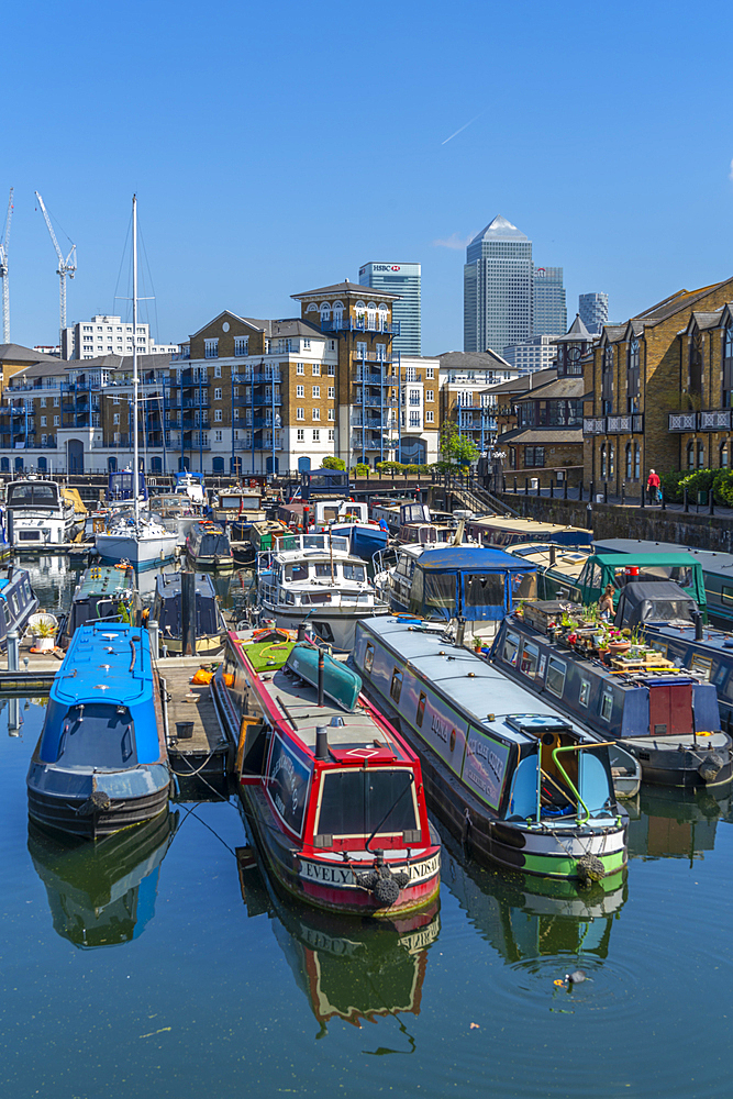 View of canal boats in the marina at the Limehouse Basin and Canary Wharf in background, Limehouse, London, England, United Kingdom, Europe