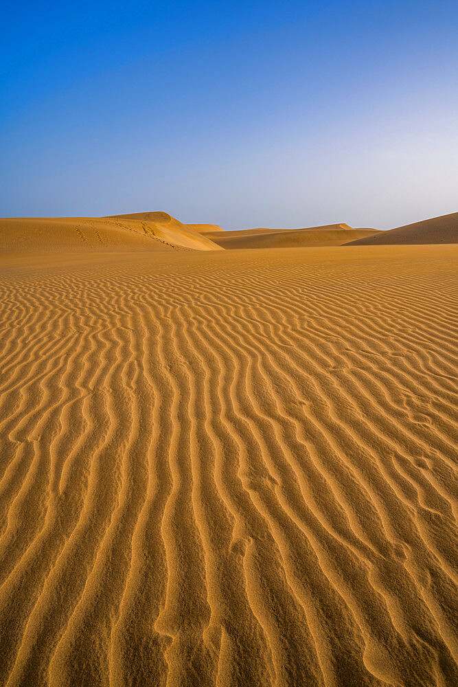 View of drifting sands and dunes at Maspalomas, Gran Canaria, Canary Islands, Spain, Atlantic, Europe