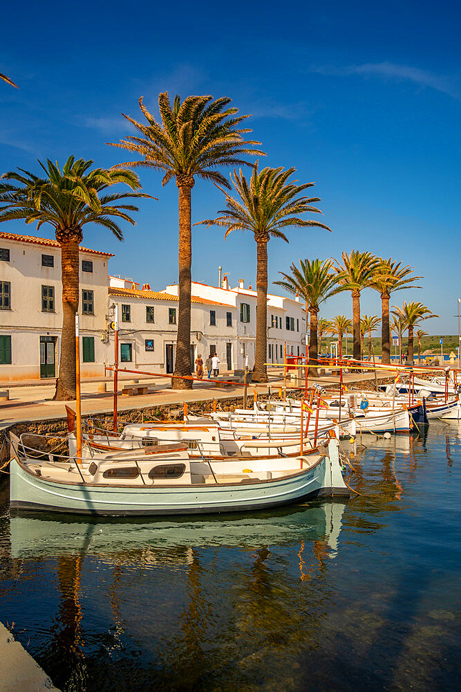 View of boats and palm trees in the marina and houses in Fornelles, Fornelles, Menorca, Balearic Islands, Spain, Mediterranean, Europe