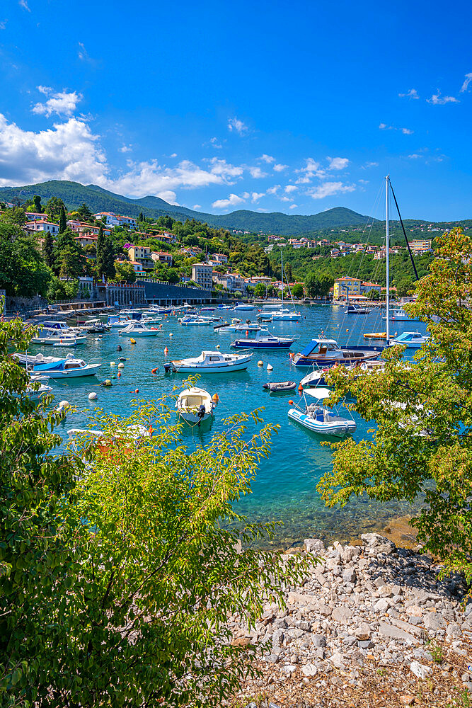 View of boats in the harbour at Ika, Ika, Kvarner Bay, Eastern Istria, Croatia, Europe