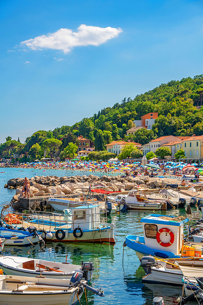 View of boats in the marina in Moscenicka Draga, Kvarner Bay, Eastern Istria, Croatia, Europe