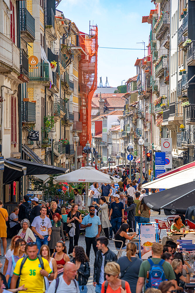 View of cafes, shops and bars on busy Rua das Flores, Porto, Norte, Portugal, Europe