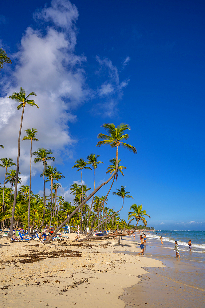 View of sea, beach and palm trees on a sunny day, Bavaro Beach, Punta Cana, Dominican Republic, West Indies, Caribbean, Central America