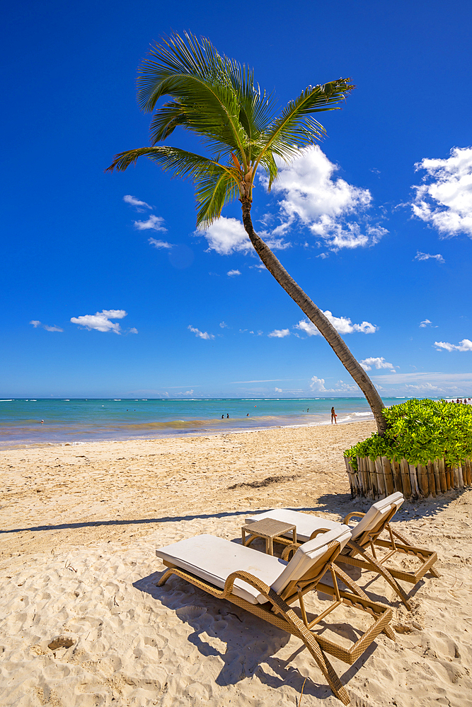 View of sun loungers and single palm tree on Bavaro Beach, Punta Cana, Dominican Republic, West Indies, Caribbean, Central America