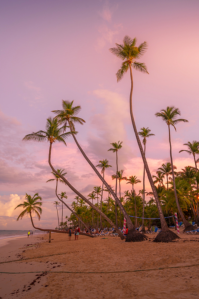 View of palm trees and sea at Bavaro Beach at sunset, Punta Cana, Dominican Republic, West Indies, Caribbean, Central America