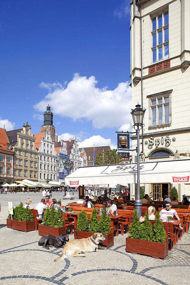 Cafe in Market Square, Old Town, Wroclaw, Silesia, Poland, Europe