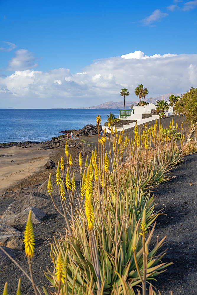 View of coastline and Playa El Barranquillo beach, Puerto Carmen, Lanzarote, Las Palmas, Canary Islands, Spain, Atlantic, Europe