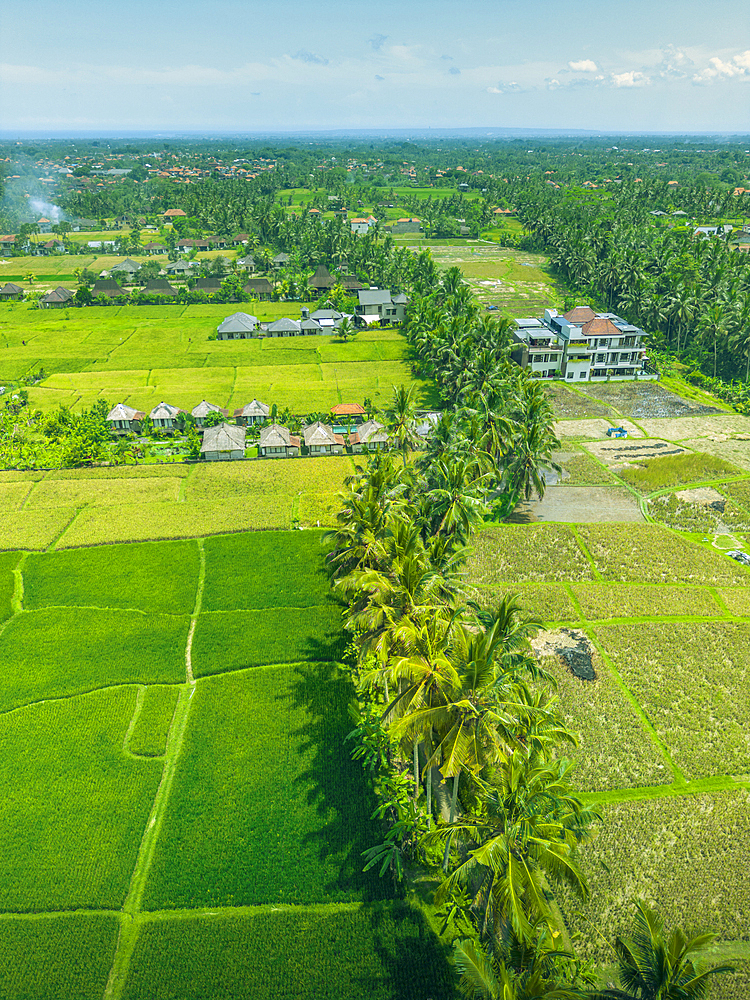 Aerial view of Kajeng Rice Field, Gianyar Regency, Bali, Indonesia, South East Asia, Asia