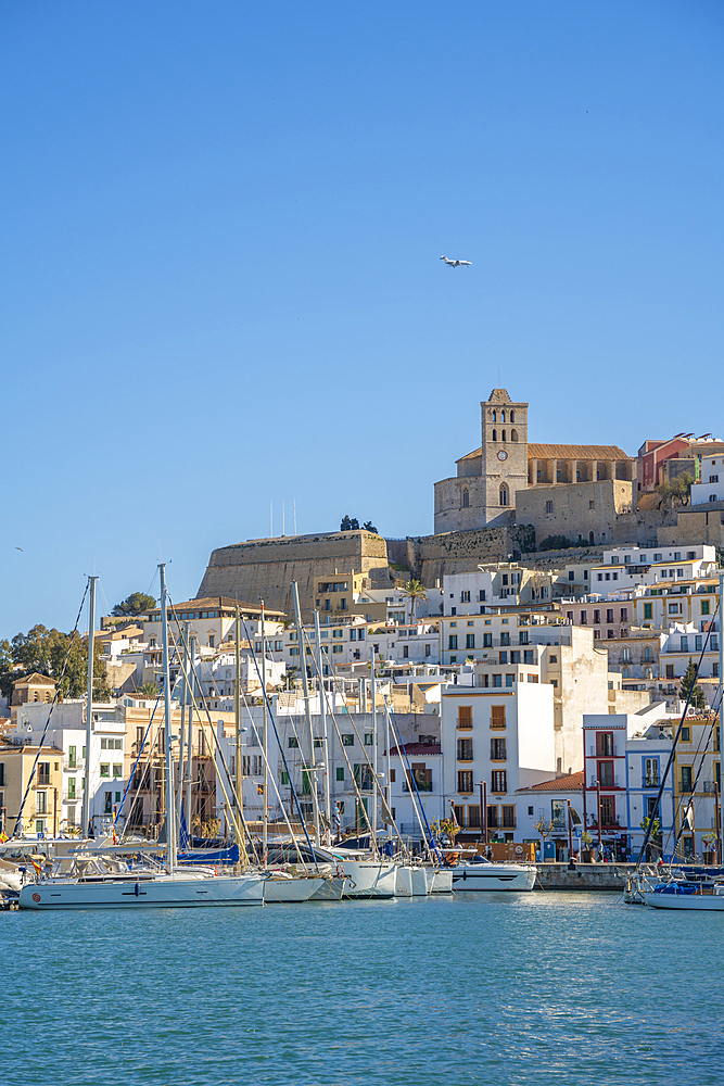 View of Dalt Vila and Cathedral from harbour, UNESCO World Heritage Site, Ibiza Town, Eivissa, Balearic Islands, Spain, Mediterranean, Europe