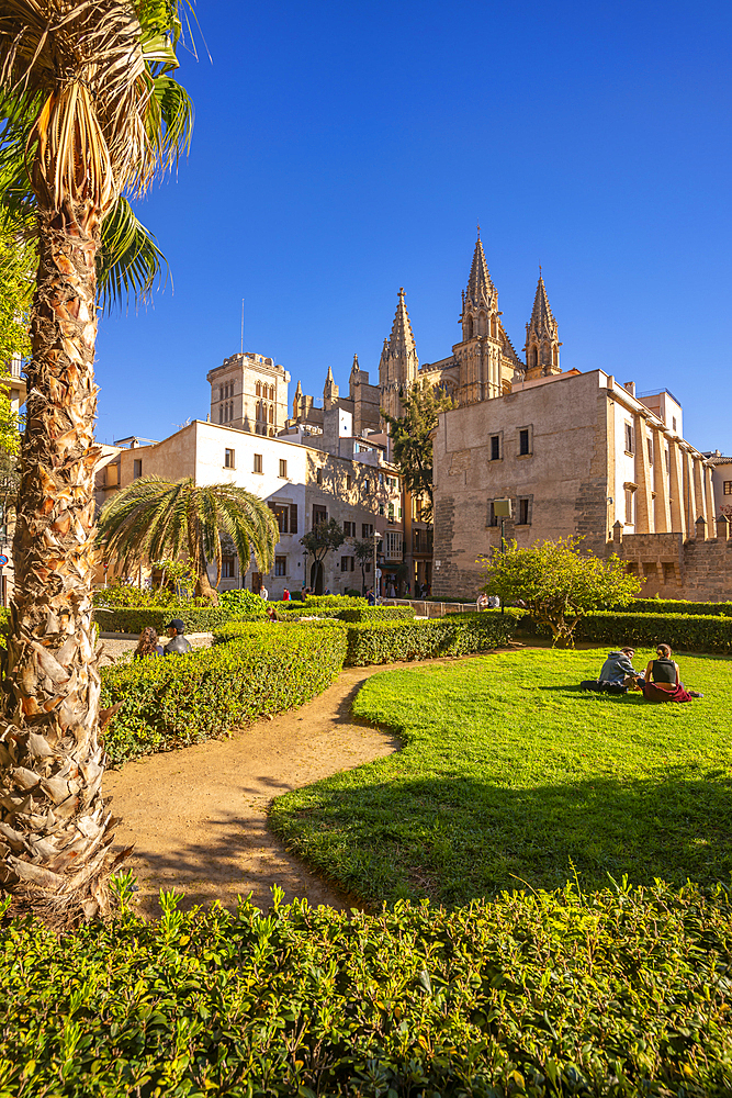 View of Cathedral-Basílica de Santa María de Mallorca from Seo Garden, Palma de Mallorca, Majorca, Balearic Islands, Spain, Mediterranean, Europe